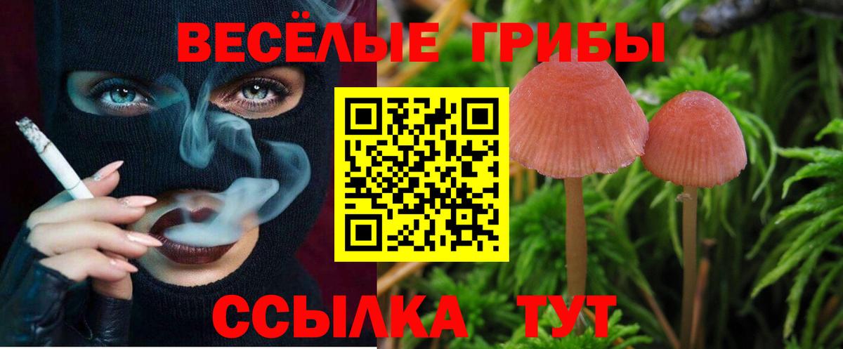 Псилоцибиновые грибы Psilocybine cubensis  Вход с VPN  Вологда 